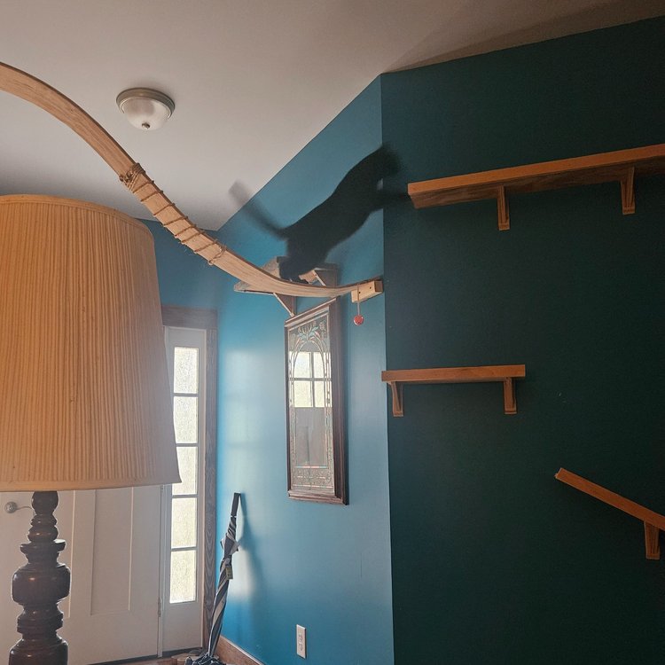 handcrafted cat shelves